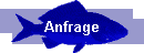 Anfrage