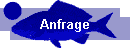 Anfrage