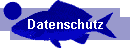 Datenschutz