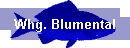 Whg. Blumental