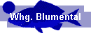 Whg. Blumental